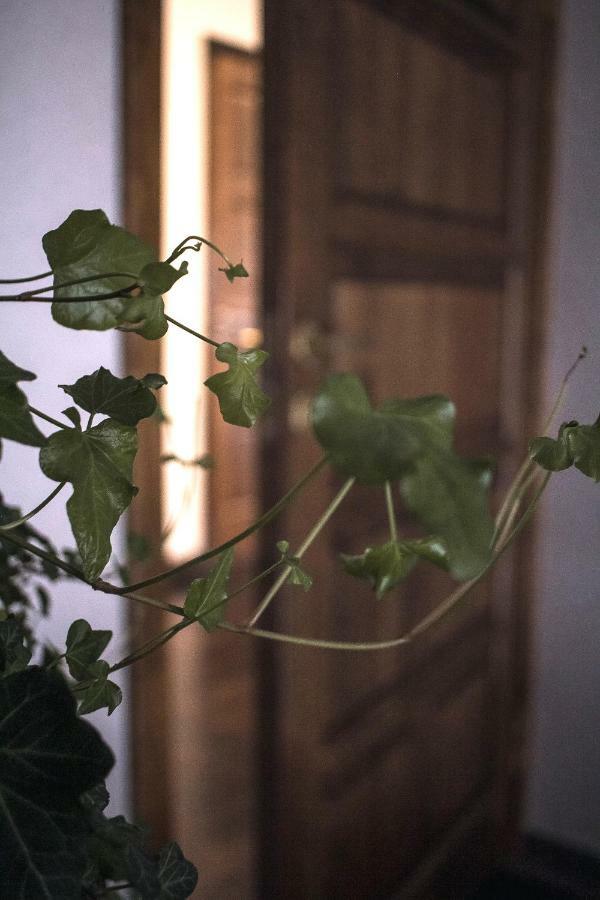 Ventspils Centra Apartamenti Bagian luar foto