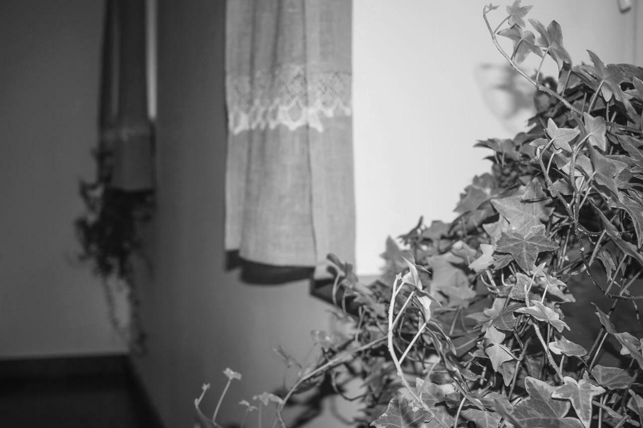 Ventspils Centra Apartamenti Bagian luar foto